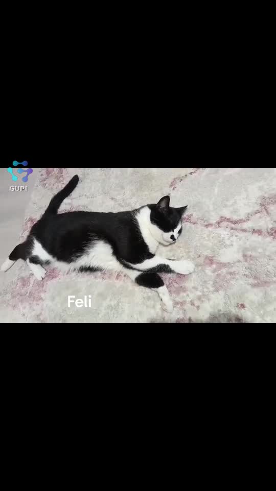 Video de @Fely2016