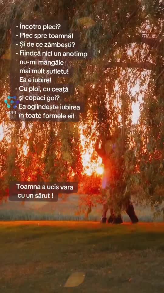 Video de @gupiuser160245