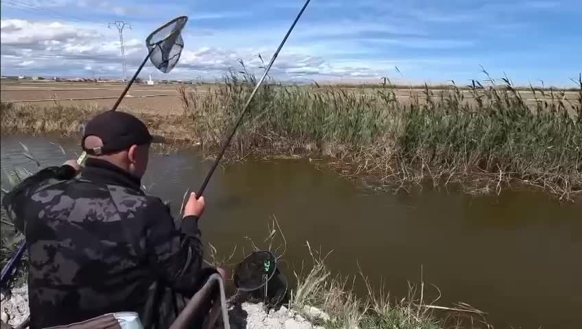 #fishing