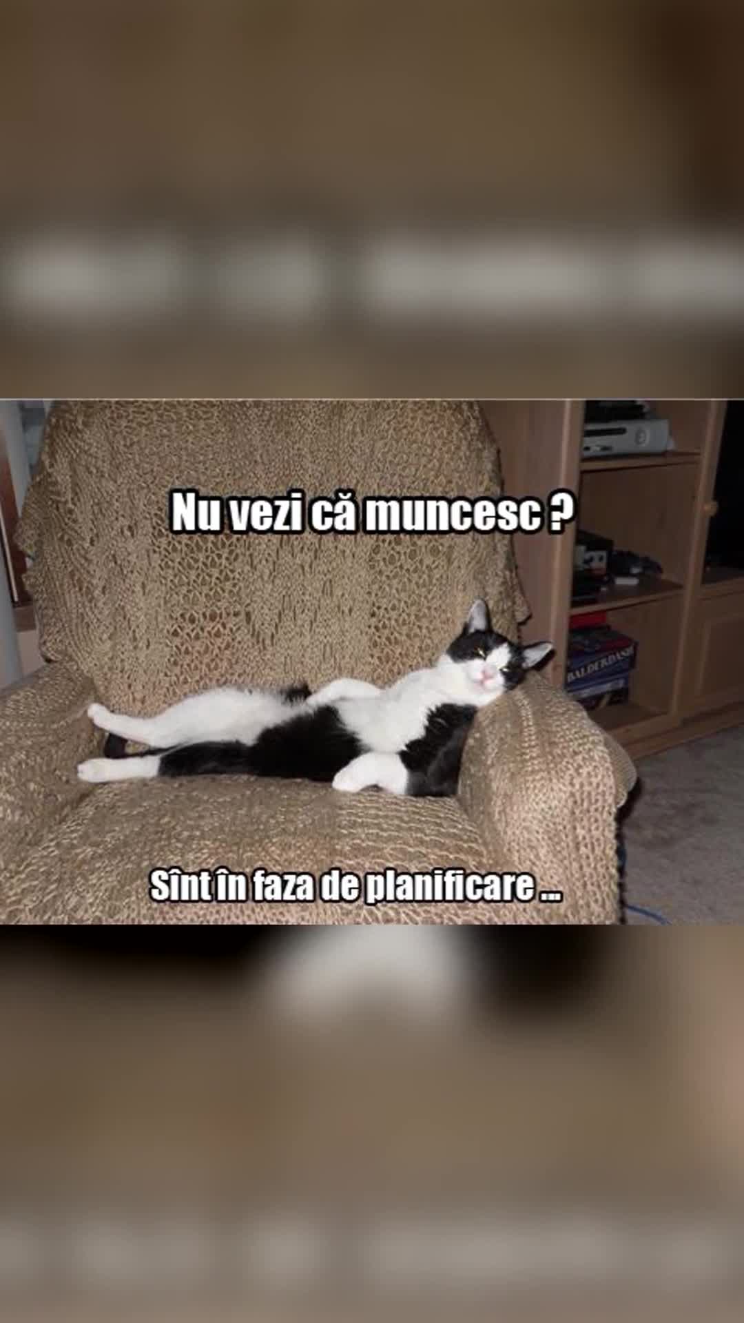 Video de @gupiuser876236