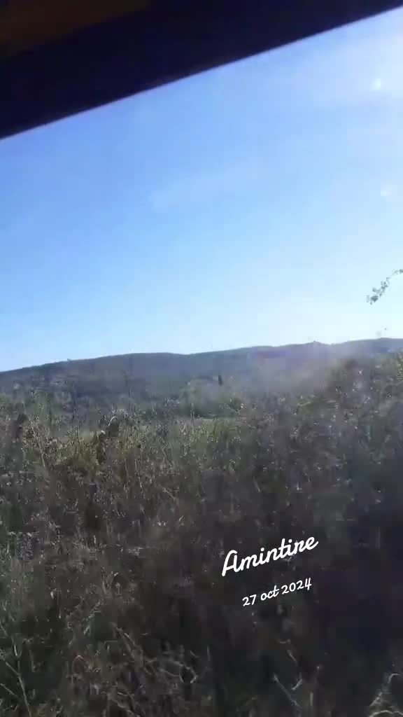 Video de @gupiuser1079284