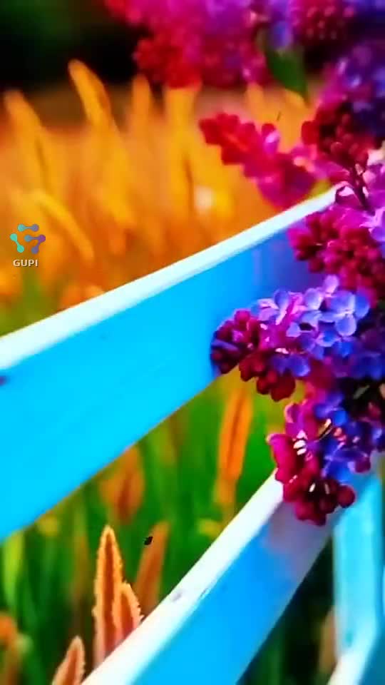 🌹🌹🌹🌹🌹
