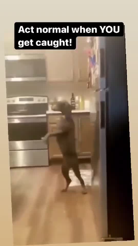 🤣🤣