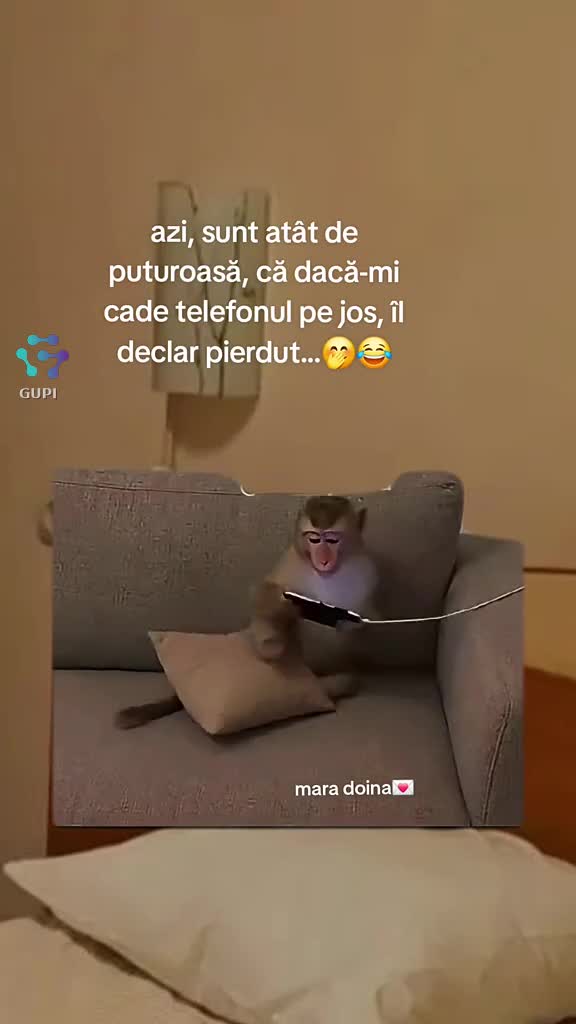 Video de @gupiuser963879