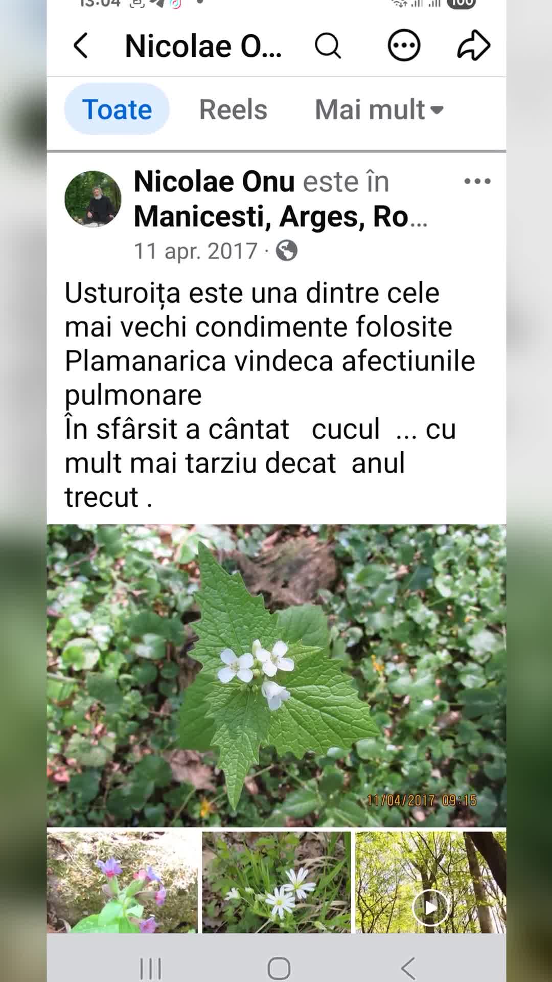 Video