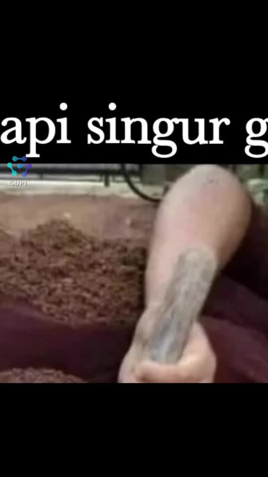 când îți sapi singur groapa...😁😁😁