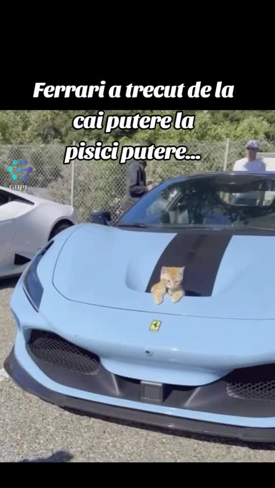 ferrari... pisici putere...😹😹😹