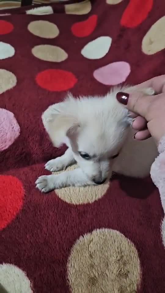 😘😘😘