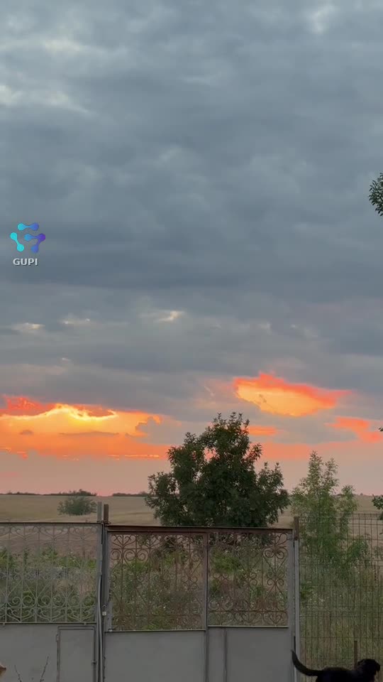 Video de @gupiuser94137