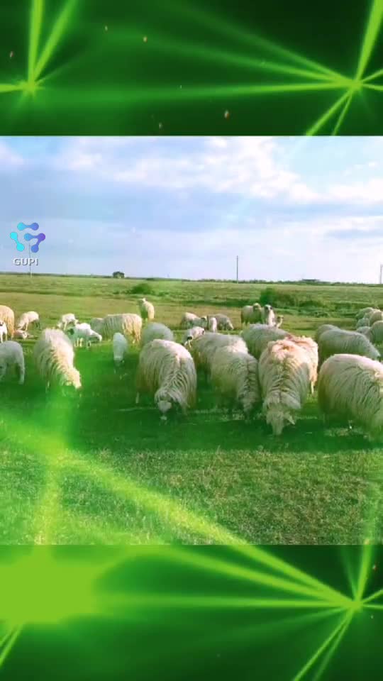 Video de @gupiuser365646
