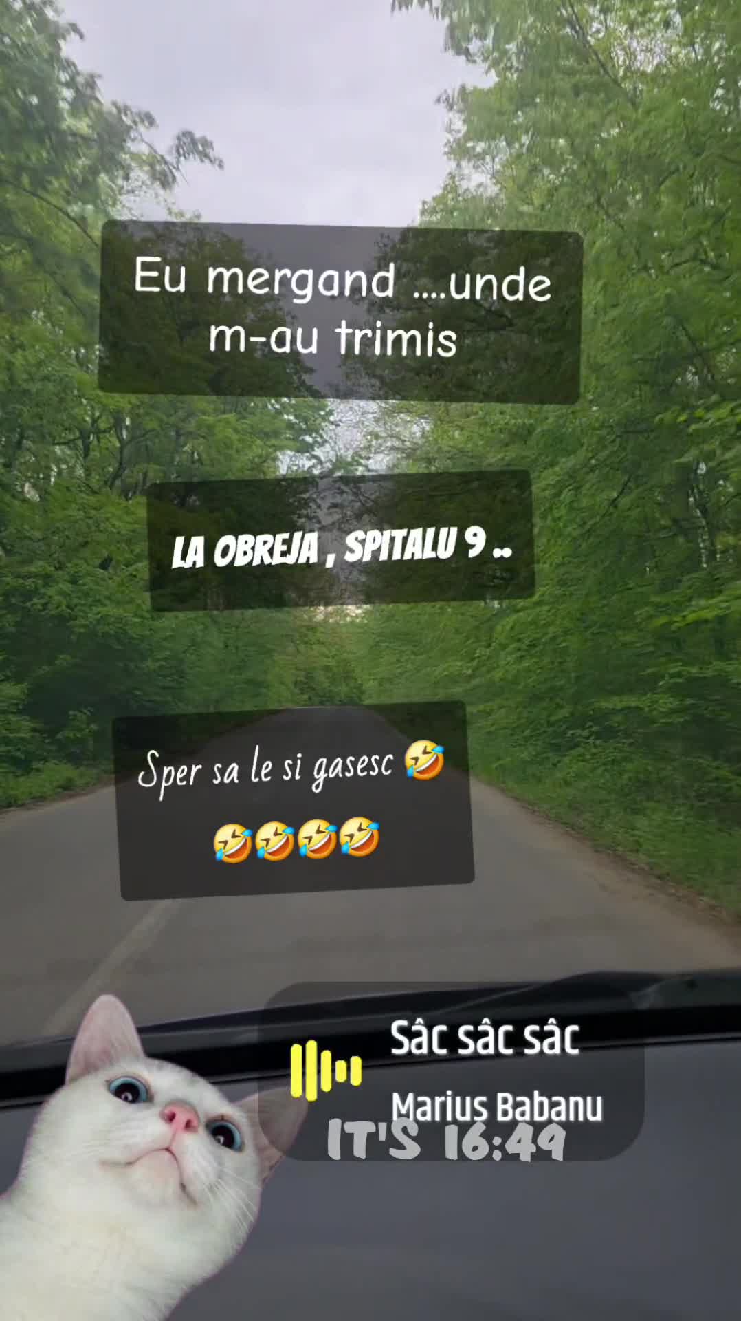 in drum spre ..acolo 🤣🤣|||{"overlays":[{"text":"da si tu un follow mergem amandoi in vacanta 🤣🤣🤣","x":0.13127441406250004,"y":0.7424022295321637,"fontSize":17.184641103891177,"color":4294967295,"isEmoji":false}]}