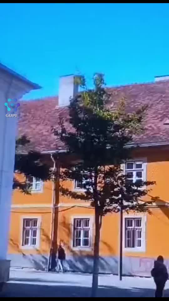 🌺🌺🌺🌺🌺|||{"overlays":[{"text":"Cluj Napoca !","x":0.02000054253472223,"y":0.14274439715633763,"fontSize":26.87495700061028,"color":4294967295,"isEmoji":false}]}
