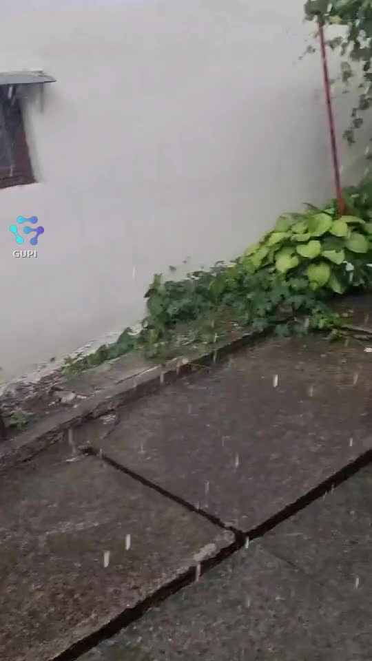 Video de @gilu26062025