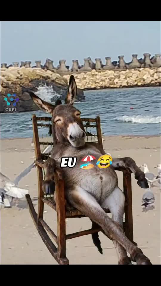 Video de @gupiuser165774