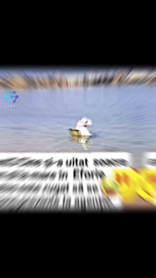 Video de @gupiuser144503