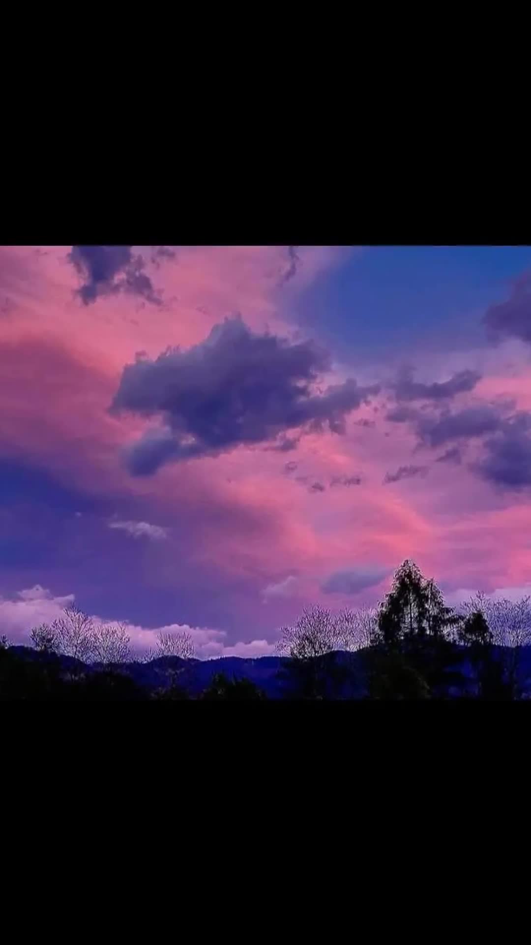 Video de @gupiuser858155