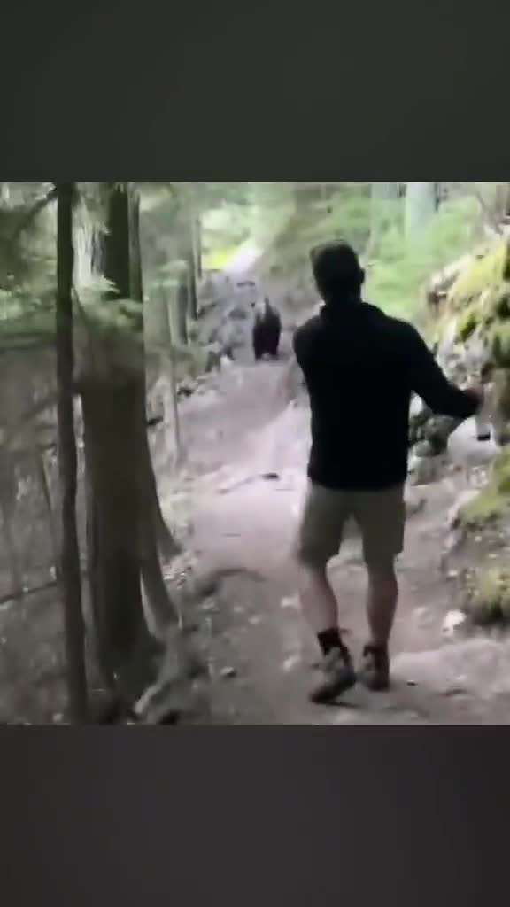 întâlnire cu ursu'