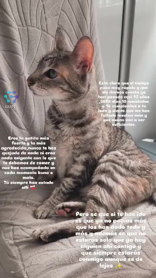 Video de @gupiuser141295