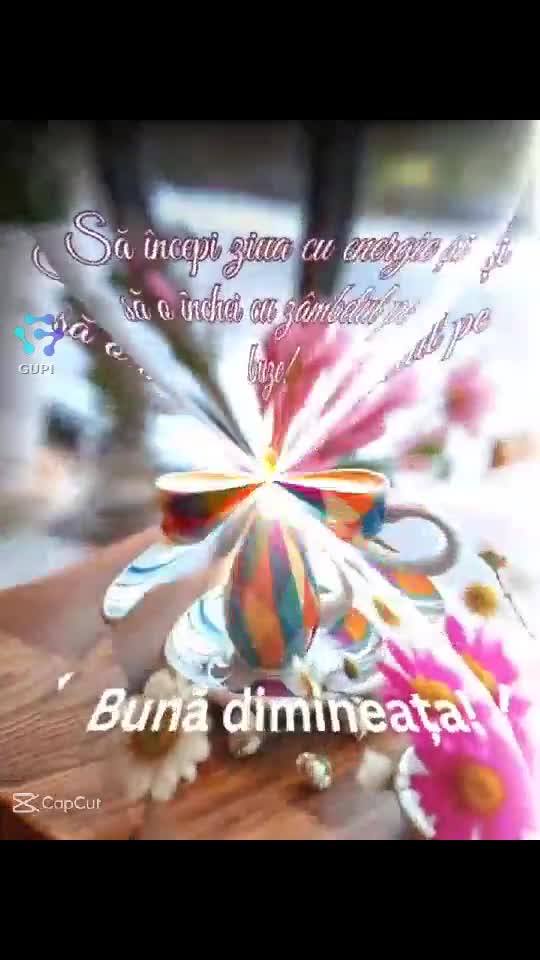 Video de @gupiuser165862