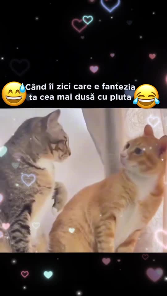 femeile astea😅😂