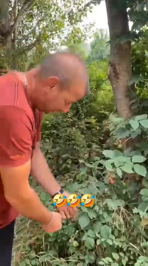 Mi-a scapat porumbelul pe gura 🤣