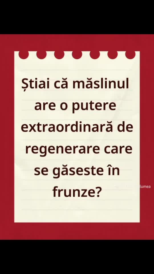 măslinul si putetea de regenerare
Olife