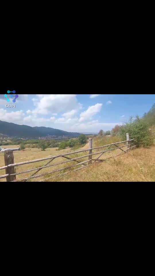 Video de @FLRica06
