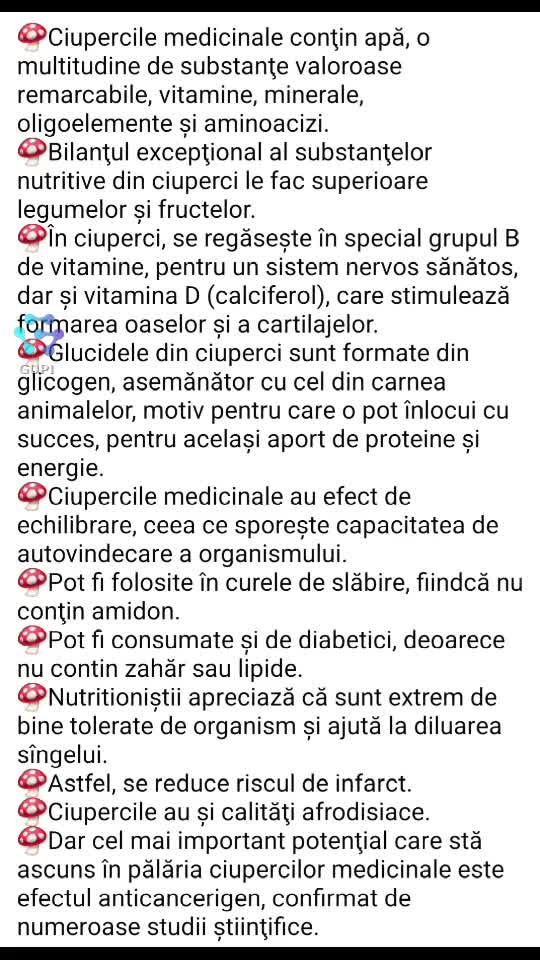 Micoterapia 🙏