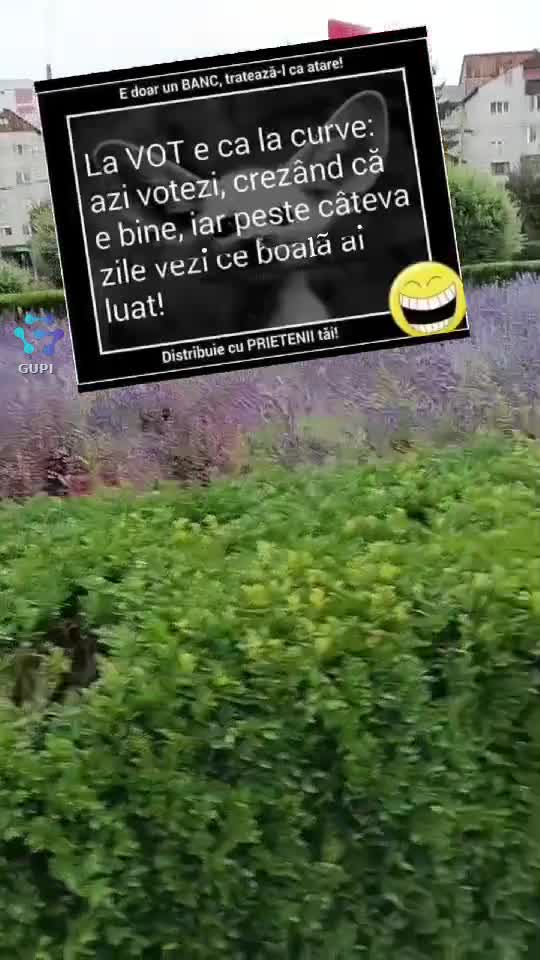 Video de @gupiuser144503