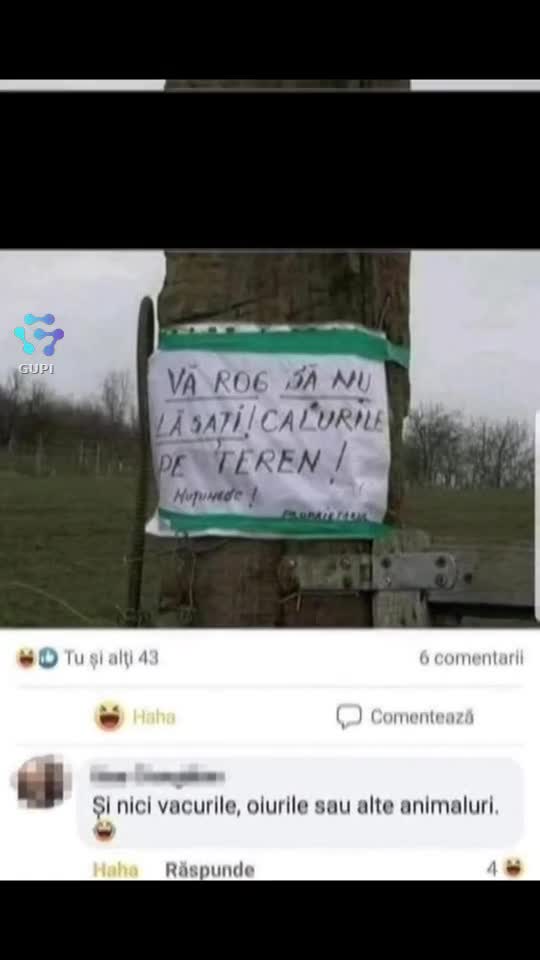 Video de @gupiuser144503
