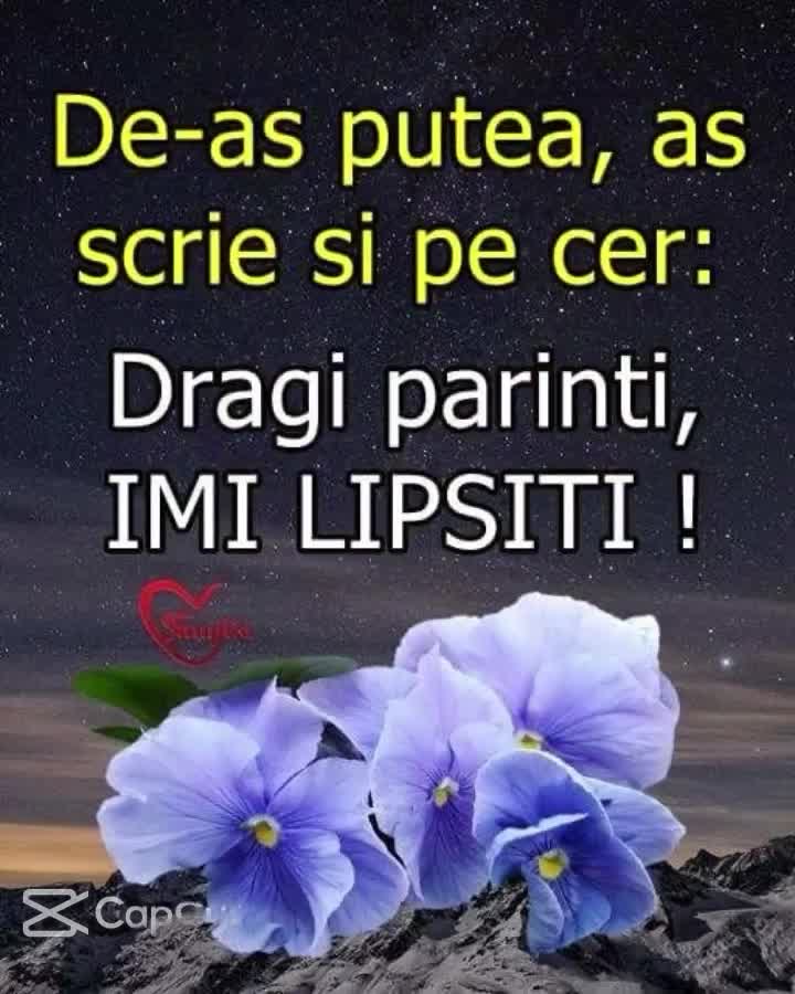 🥹😪😭🥀🥀|||{"overlays":[{"text":"😭","x":0.029629629629629672,"y":0.5725795971410007,"fontSize":48.0,"color":4294967295,"isEmoji":true}]}