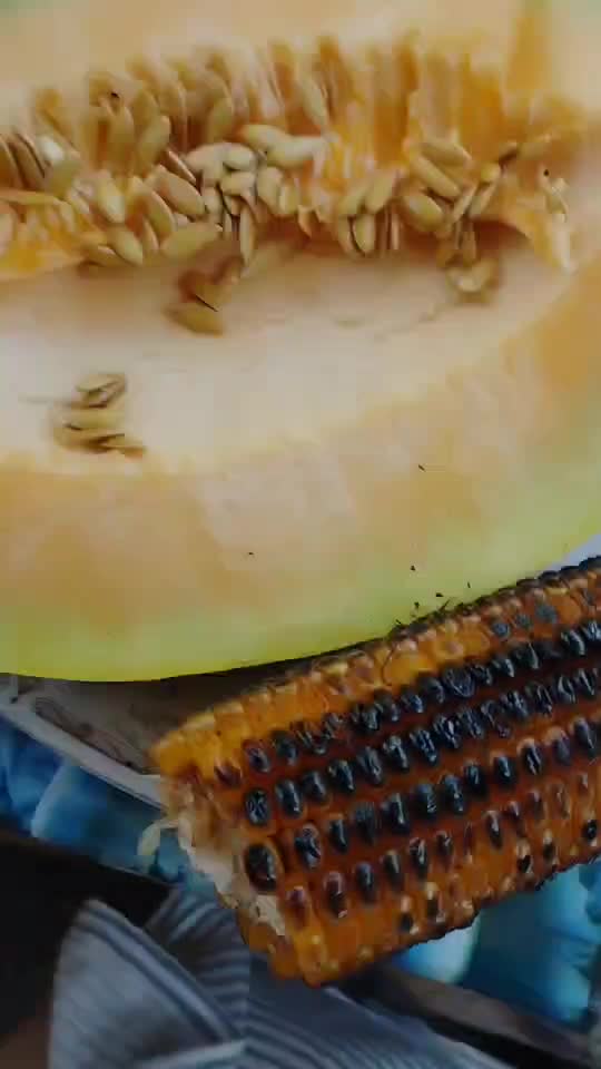 🌽🍈