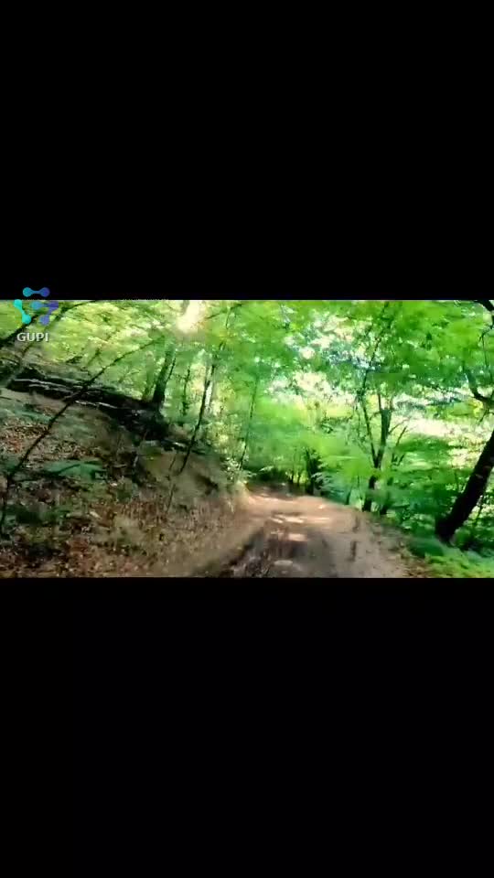 Video de @FLRica06