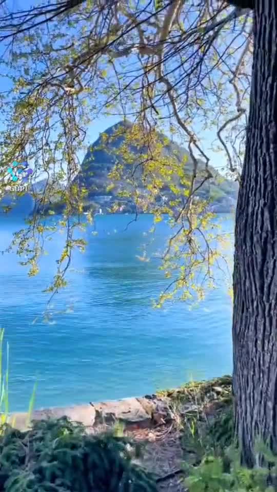 Video de @gupiuser356038
