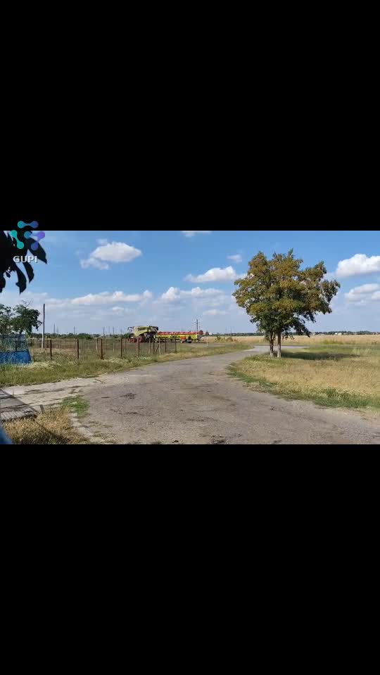 Video de @gupiuser156147