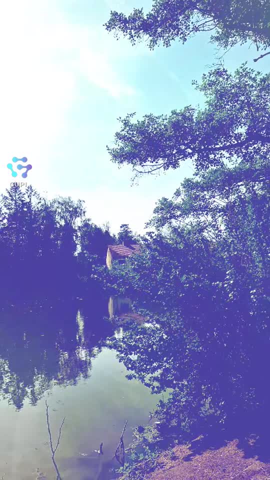 Video de @gupiuser113423