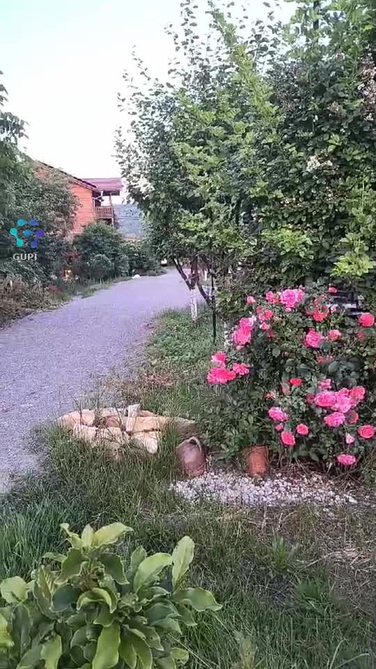 Video de @gupiuser164981