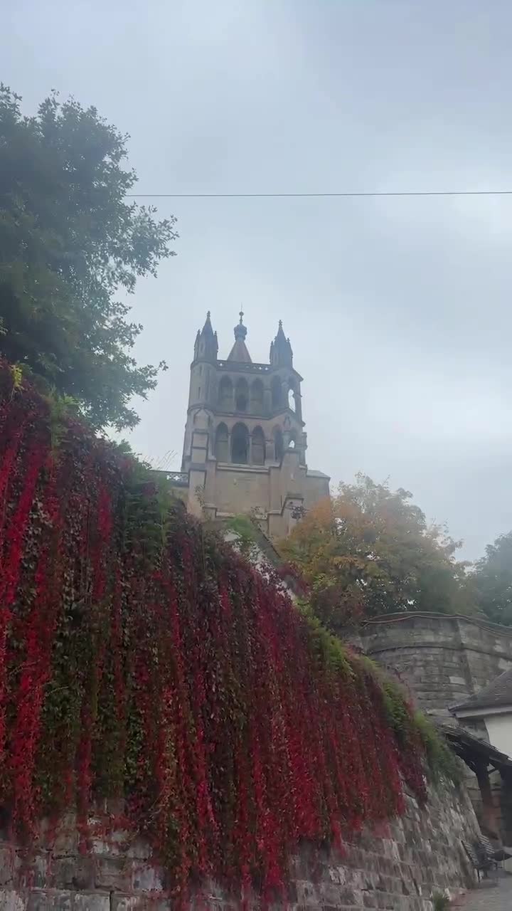 Video de @🇨🇭Vasile1805🇧🇪