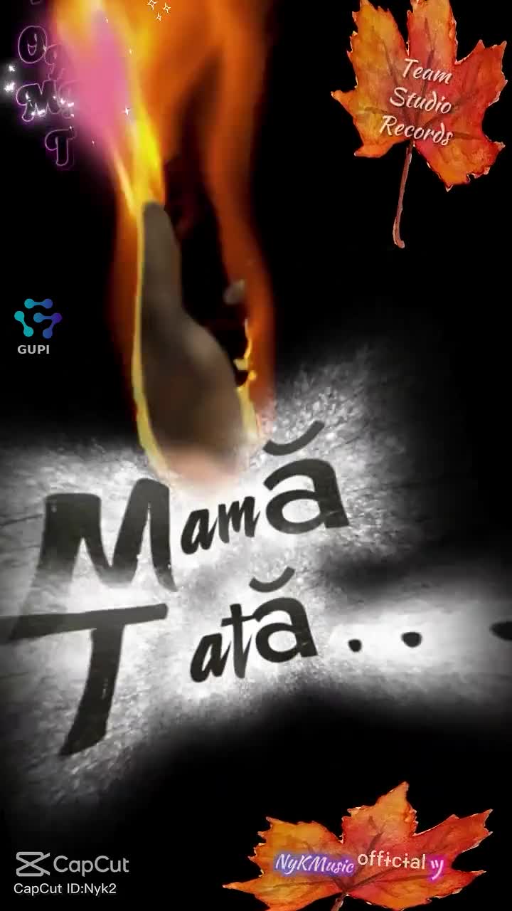 |||{"overlays":[{"text":"AȚI PLECAT LA CERURI\n🥹🥹🥹🙏","x":0.001388888888888889,"y":0.9090634441087613,"fontSize":19.475129402967283,"color":4280391411,"isEmoji":false}]}