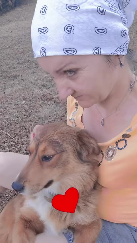 L’amore di un cane durerà per sempre ❤️
