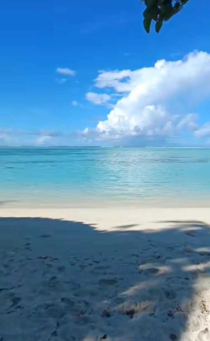 Nature end 🌞