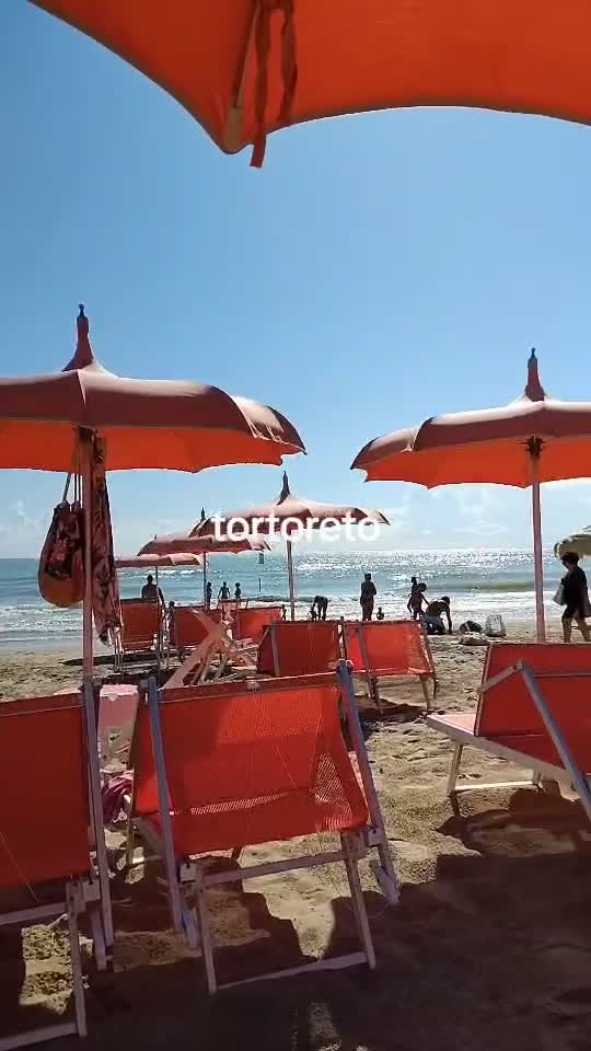vacanta##