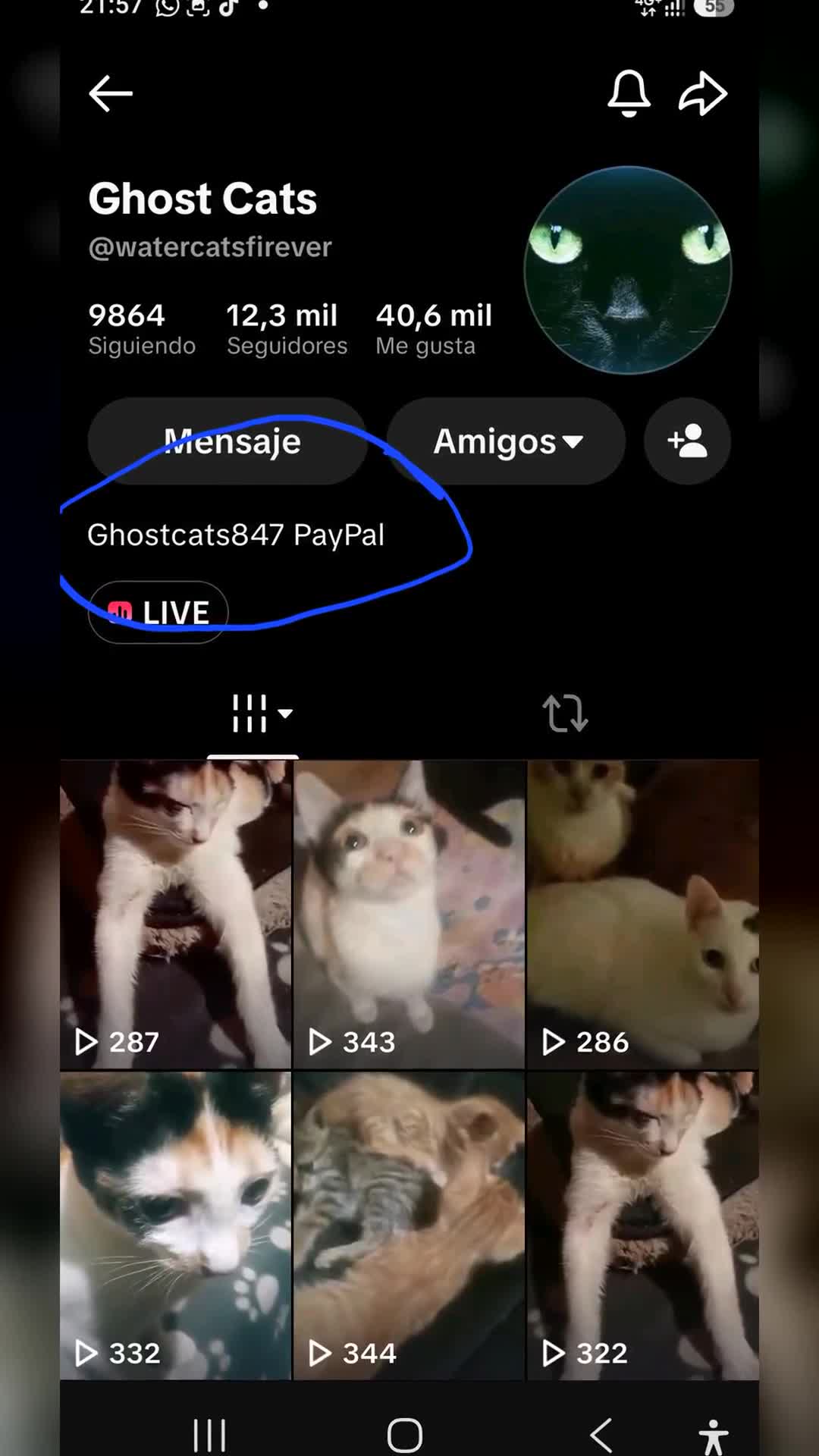 Video de @gupiuser882157
