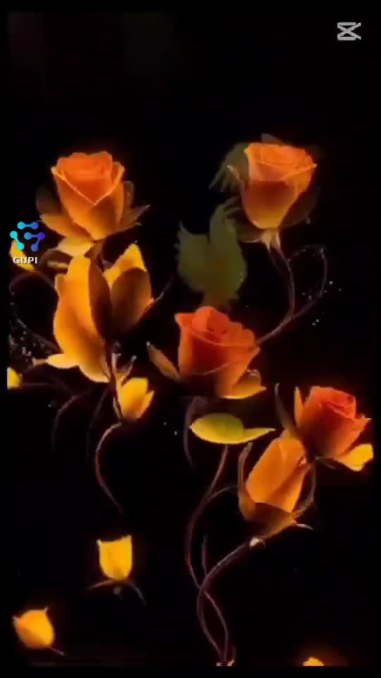 Video de @gupiuser329087