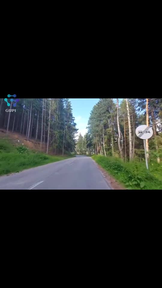 Video de @FLRica06