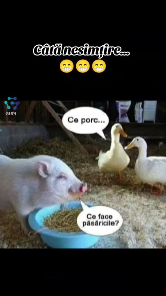 câtă nesimțire...😁😁😁