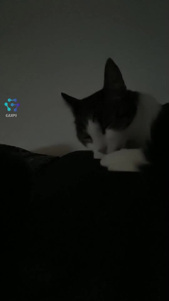 Video de @gupiuser164981