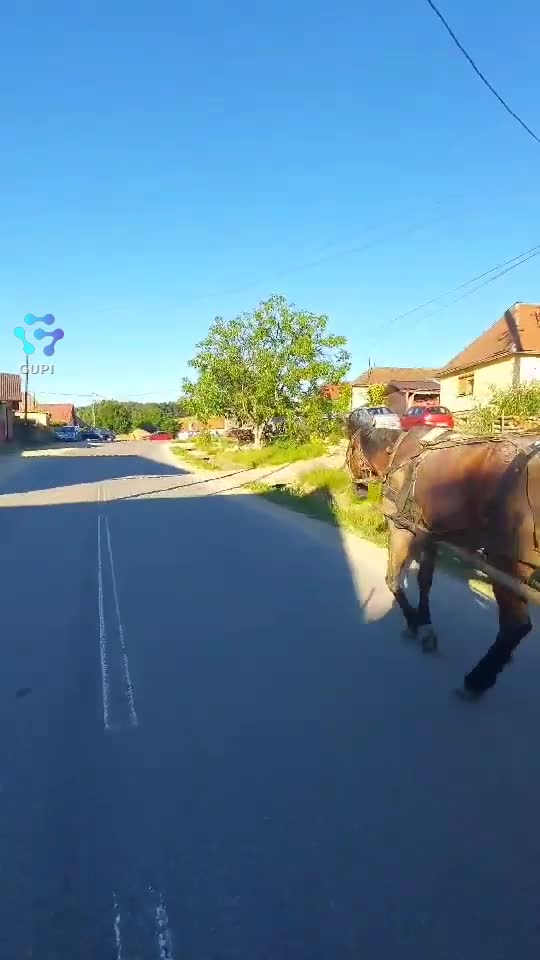 Video de @FLRica06