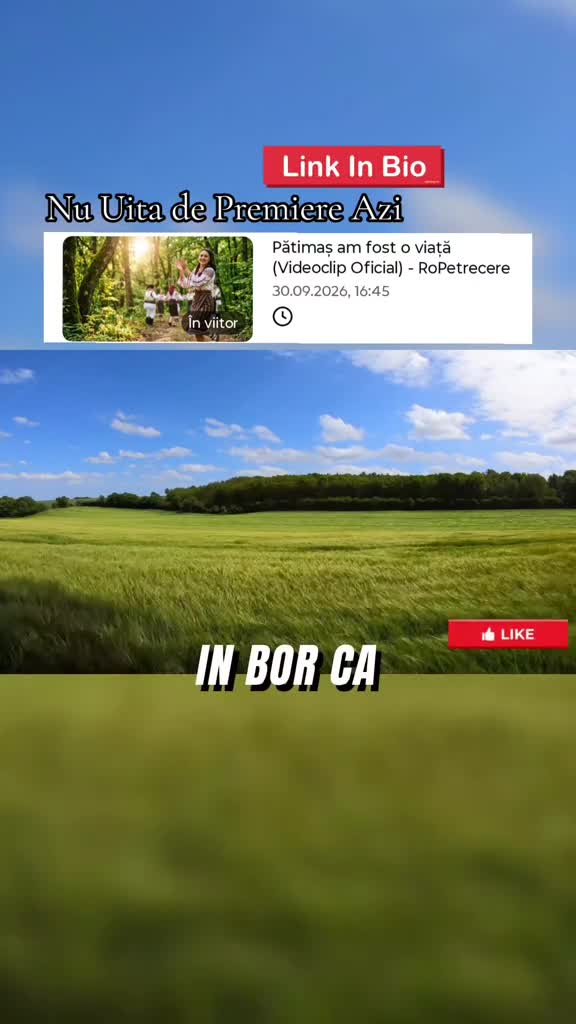 Video de @gupiuser690093