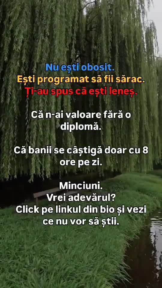 Vrei să înveți cum să faci bani online? Ghiduri pas cu pas pentru începători.